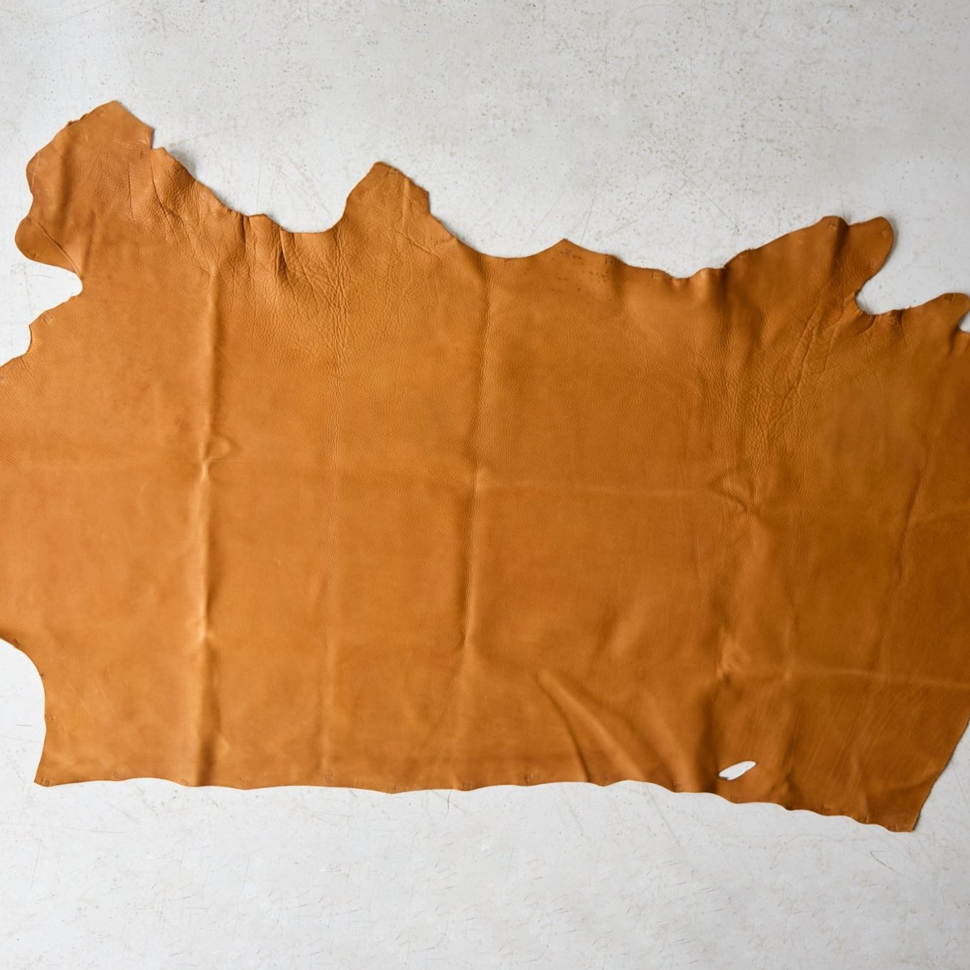 Napa Leather Cow Hide - elsie green - Textiles