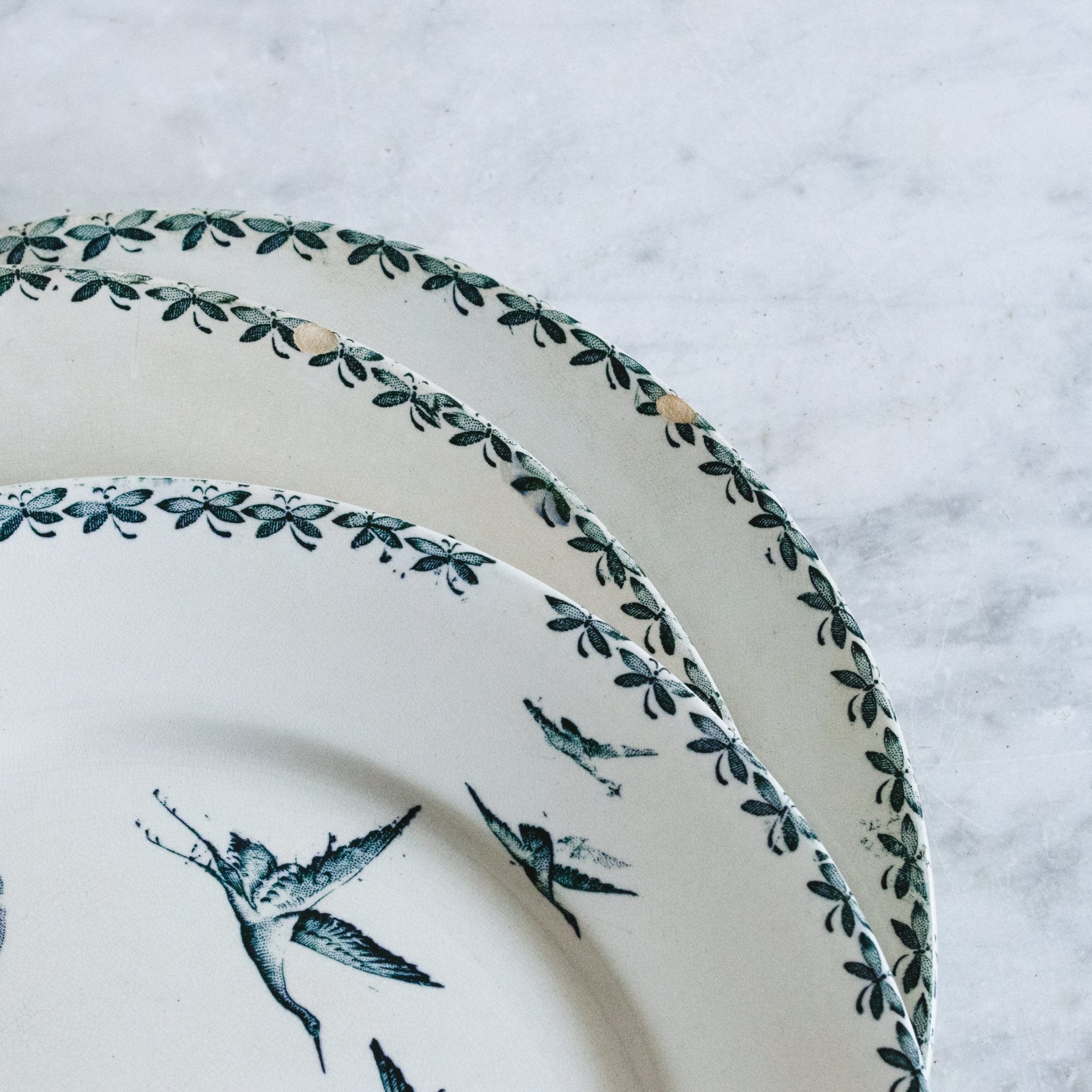 Nenuphar Transferware Plate Set Of 8 - elsie green - The French Kitchen