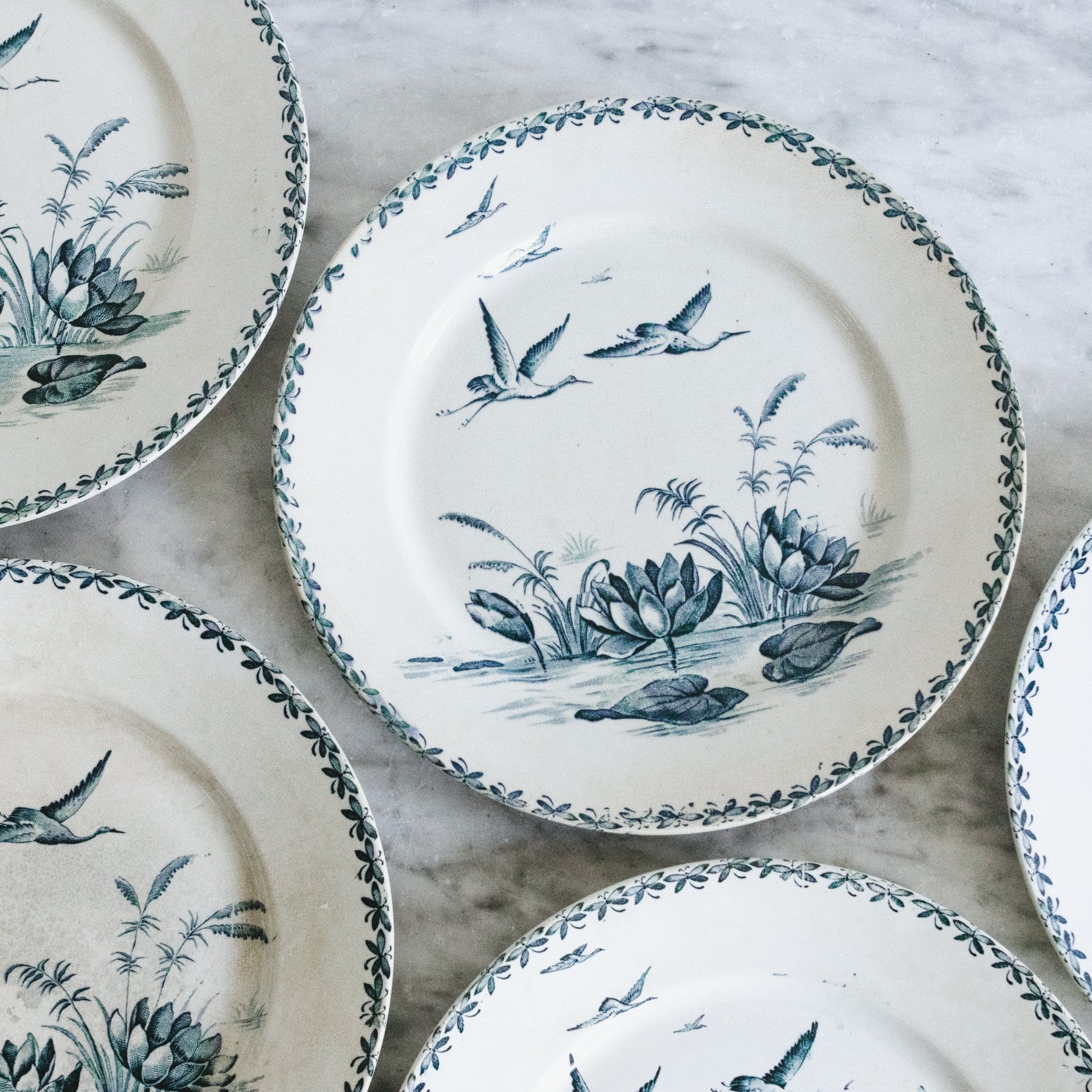 Nenuphar Transferware Plate Set Of 8 - elsie green - The French Kitchen