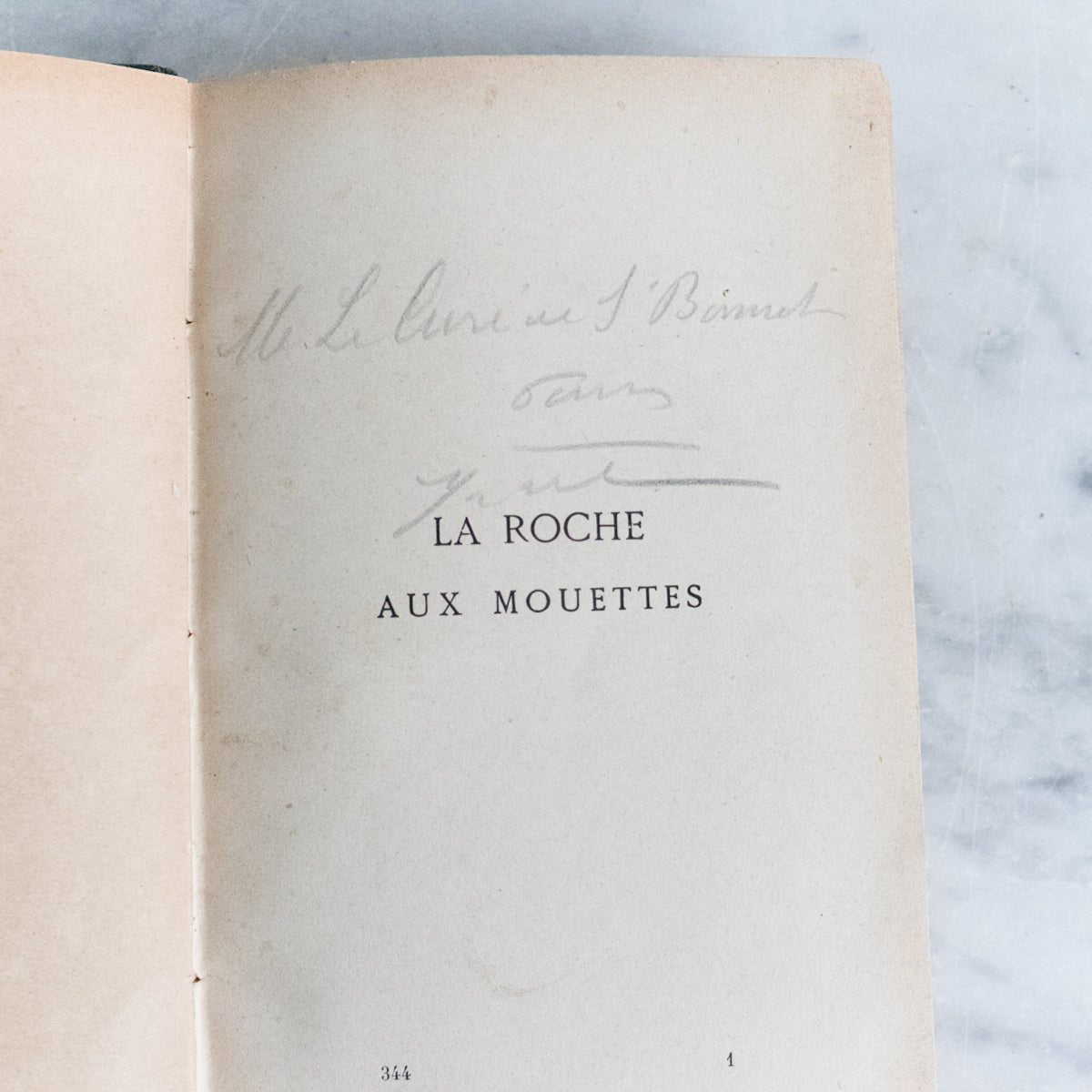 Pair of Antique French Novels - elsie green - decor