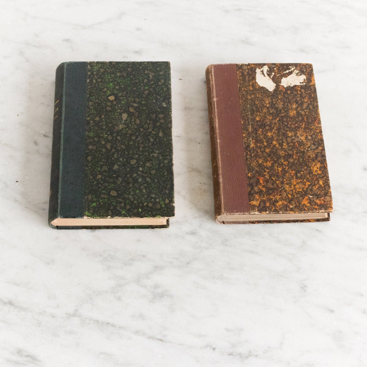 Pair of Antique French Novels - elsie green - decor