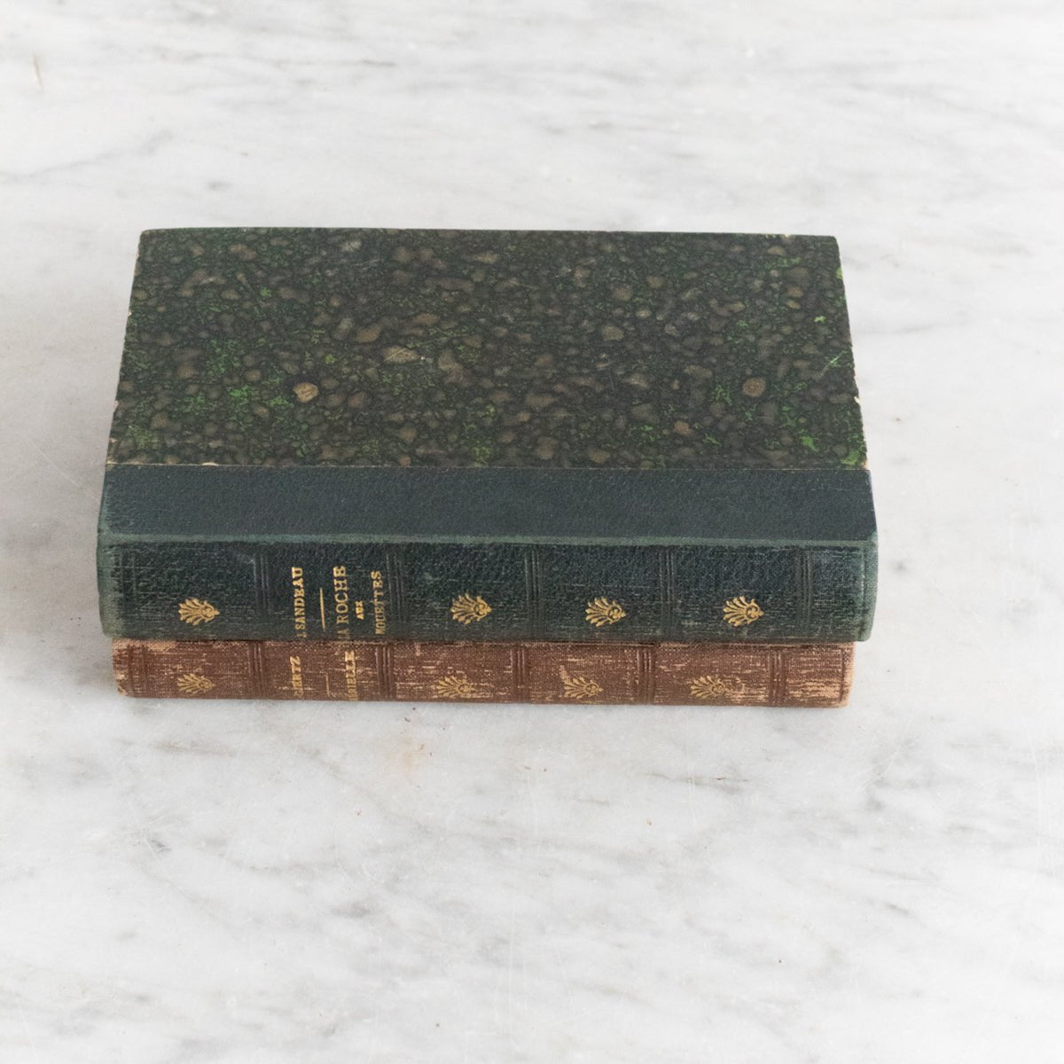 Pair of Antique French Novels - elsie green - decor