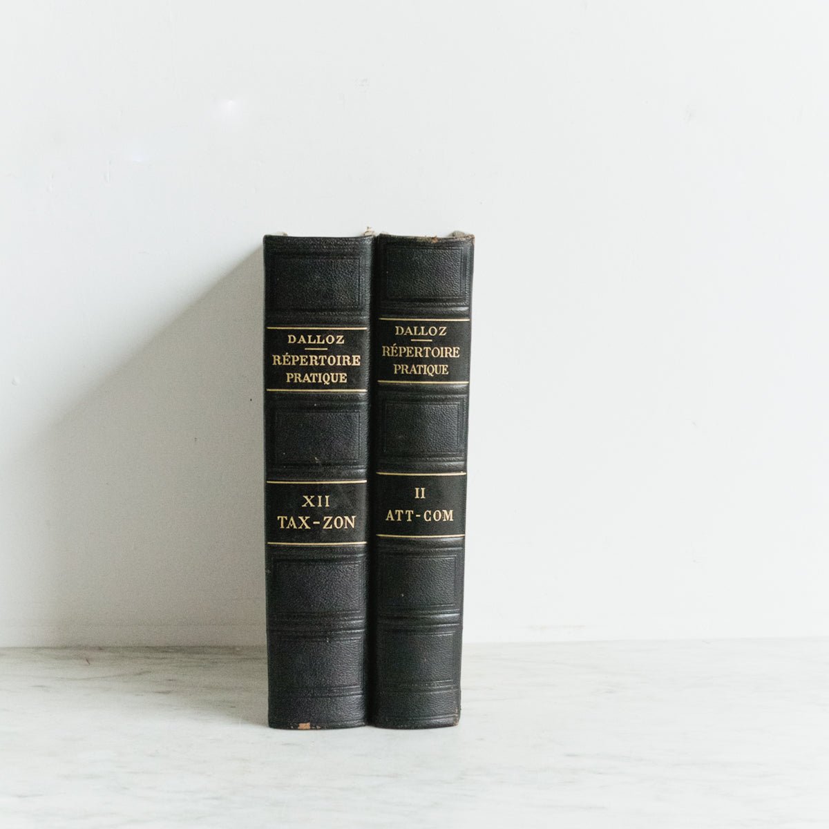 Pair of French Legal Volumes - elsie green - decor