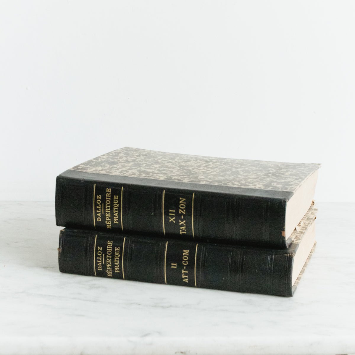 Pair of French Legal Volumes - elsie green - decor