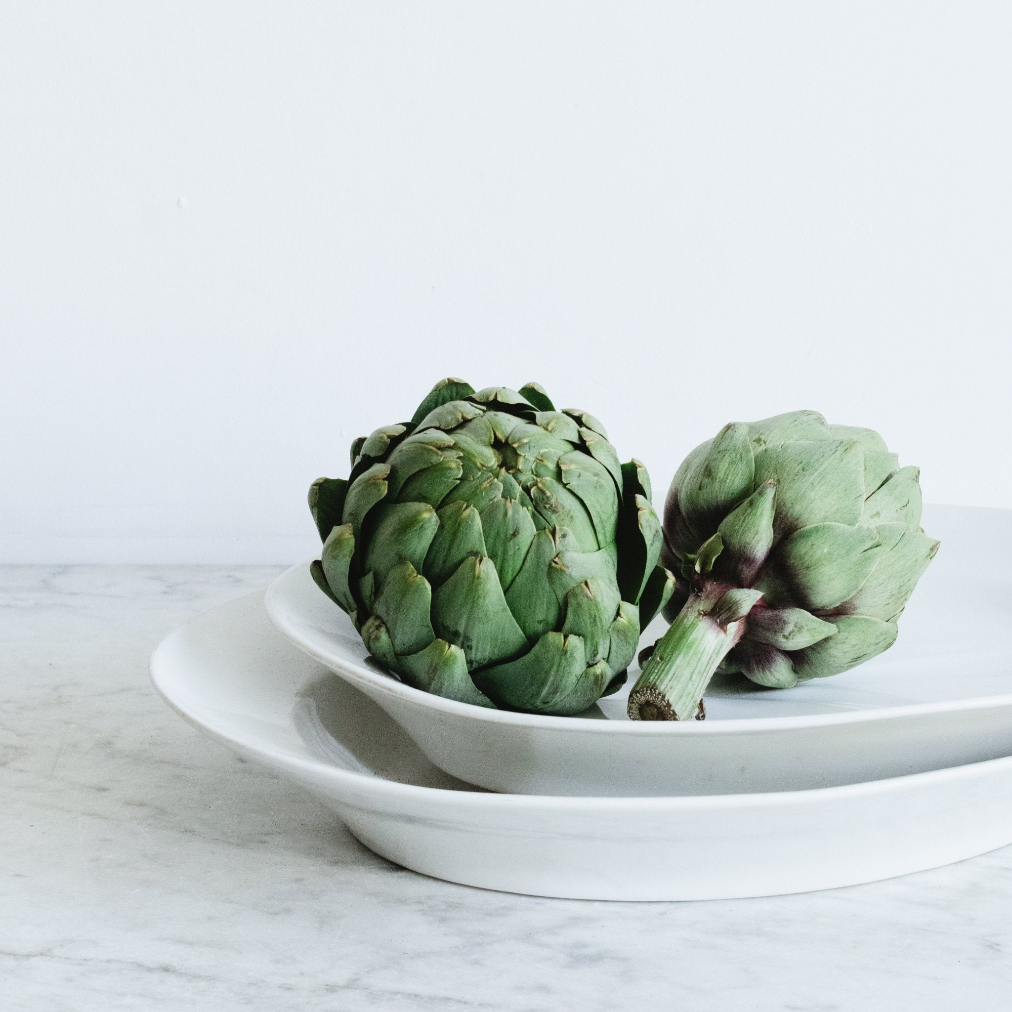 Pair Of Porcelain Meat Platters - elsie green - The French Kitchen