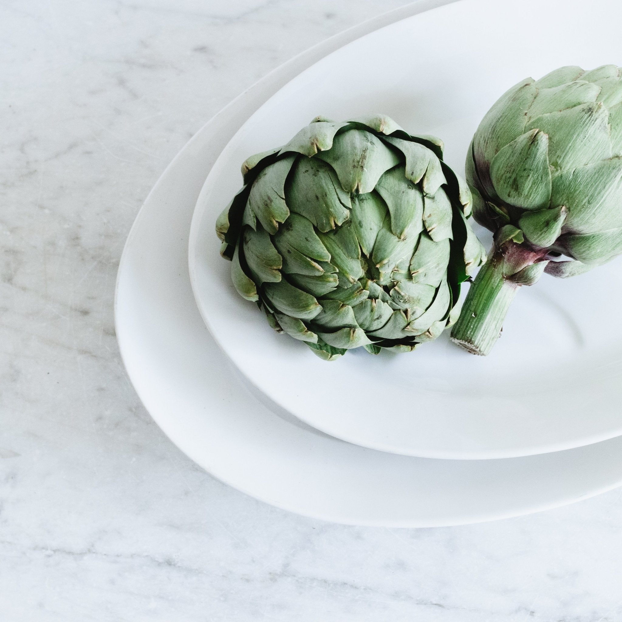 Pair Of Porcelain Meat Platters - elsie green - The French Kitchen