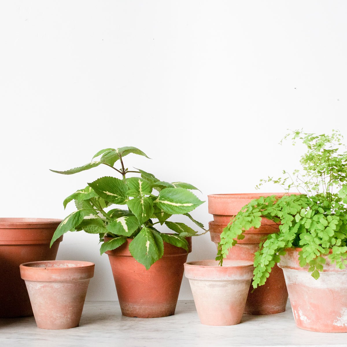 Pair of Vintage Garden Pots - elsie green - Decor