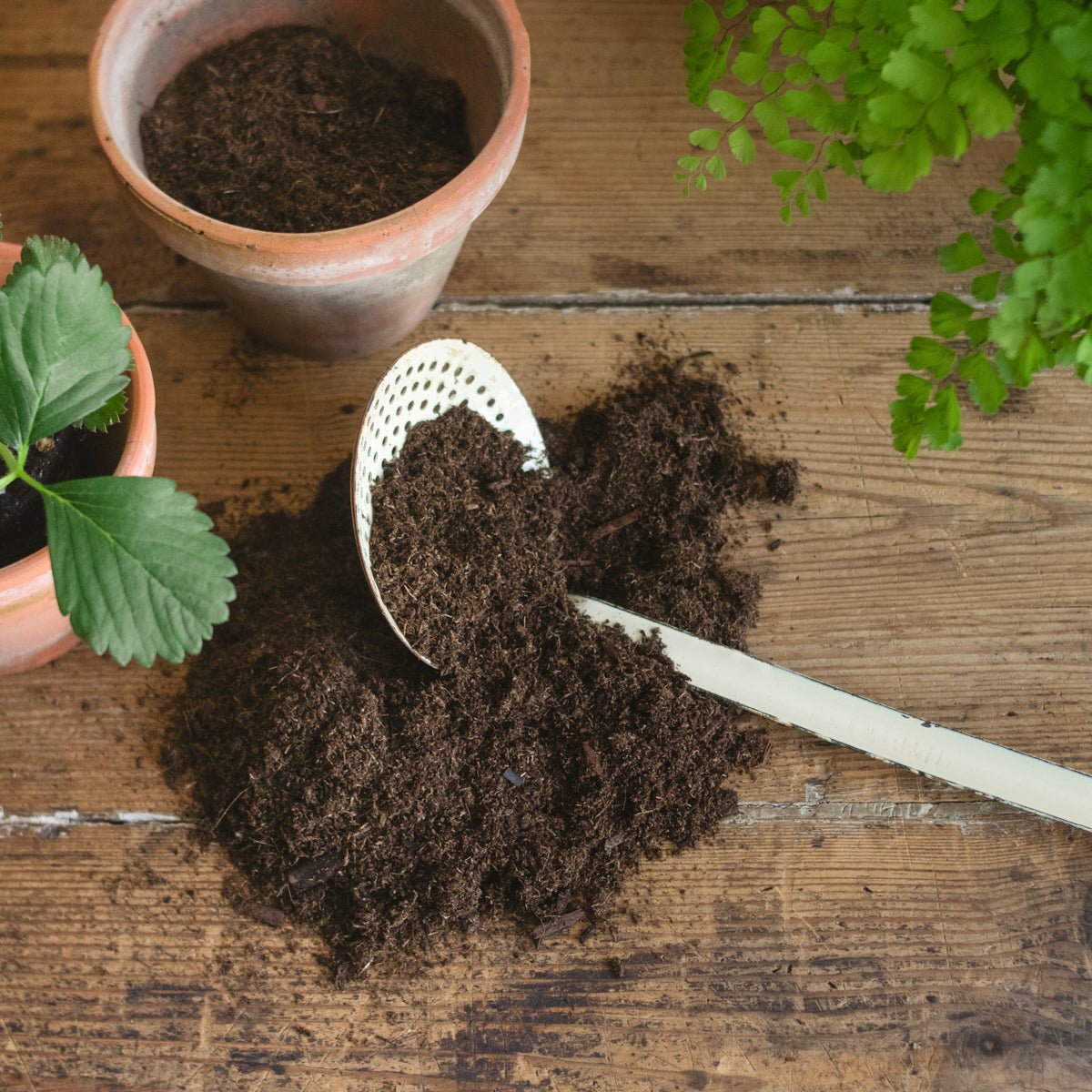 Pair of Vintage Garden Pots - elsie green - Decor