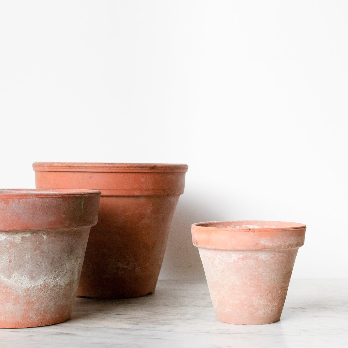 Pair of Vintage Garden Pots - elsie green - Decor