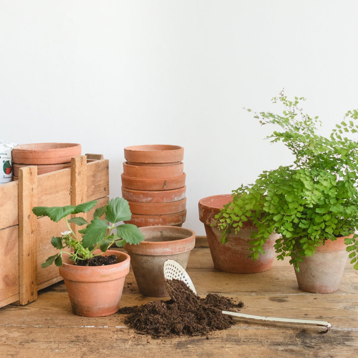 Pair of Vintage Garden Pots - elsie green - Decor