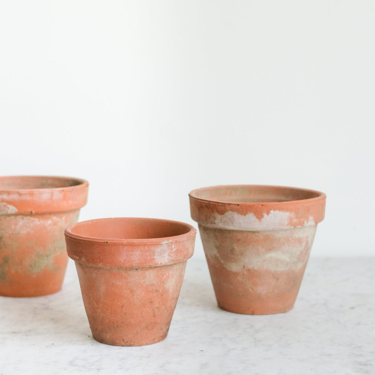 Pair of Vintage Garden Pots - elsie green - Decor