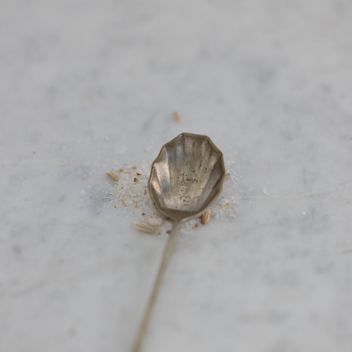 Petite Antique Salt Spoon - elsie green - the french kitchen