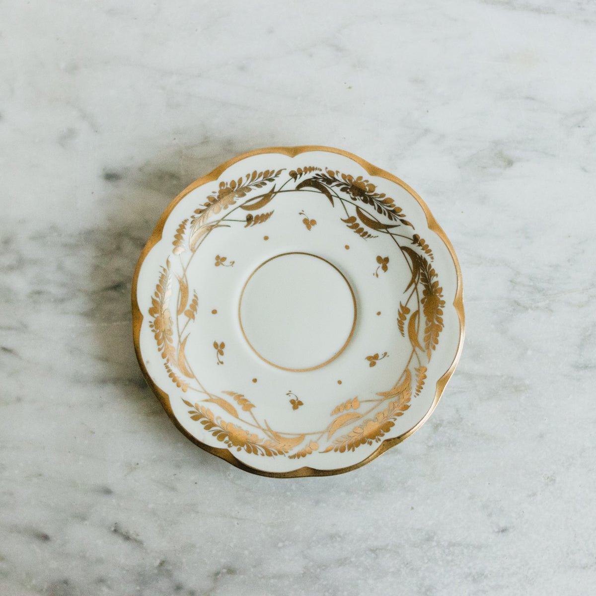 Petite Hand - Painted Haviland Plate Set Of 11 - elsie green - the french kitchen