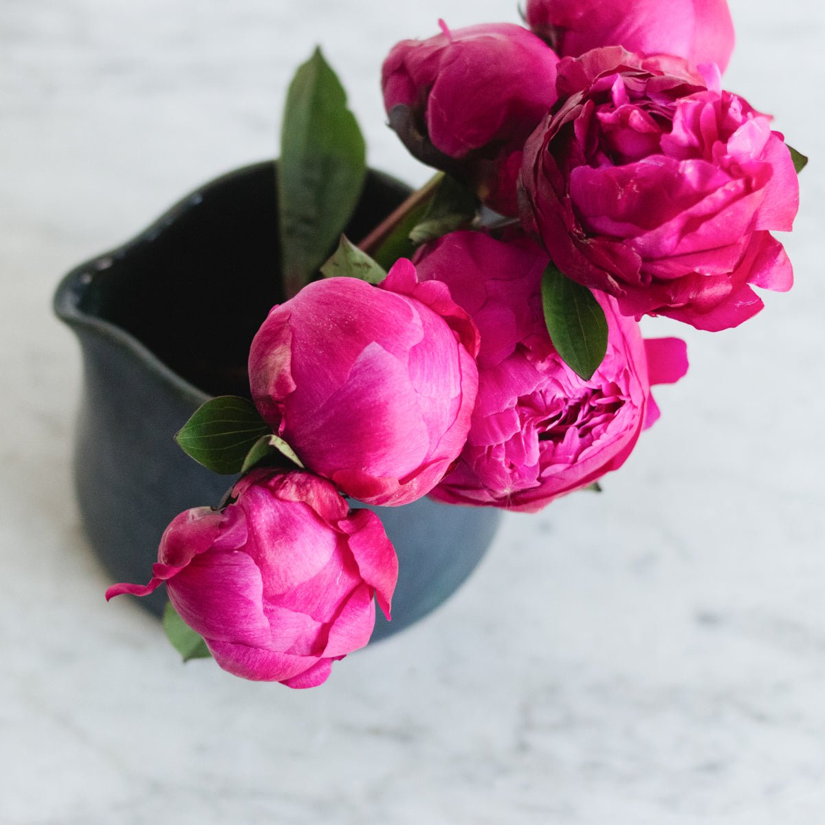 Petite Stoneware Pitcher | Signed by Artist - elsie green - the french kitchen