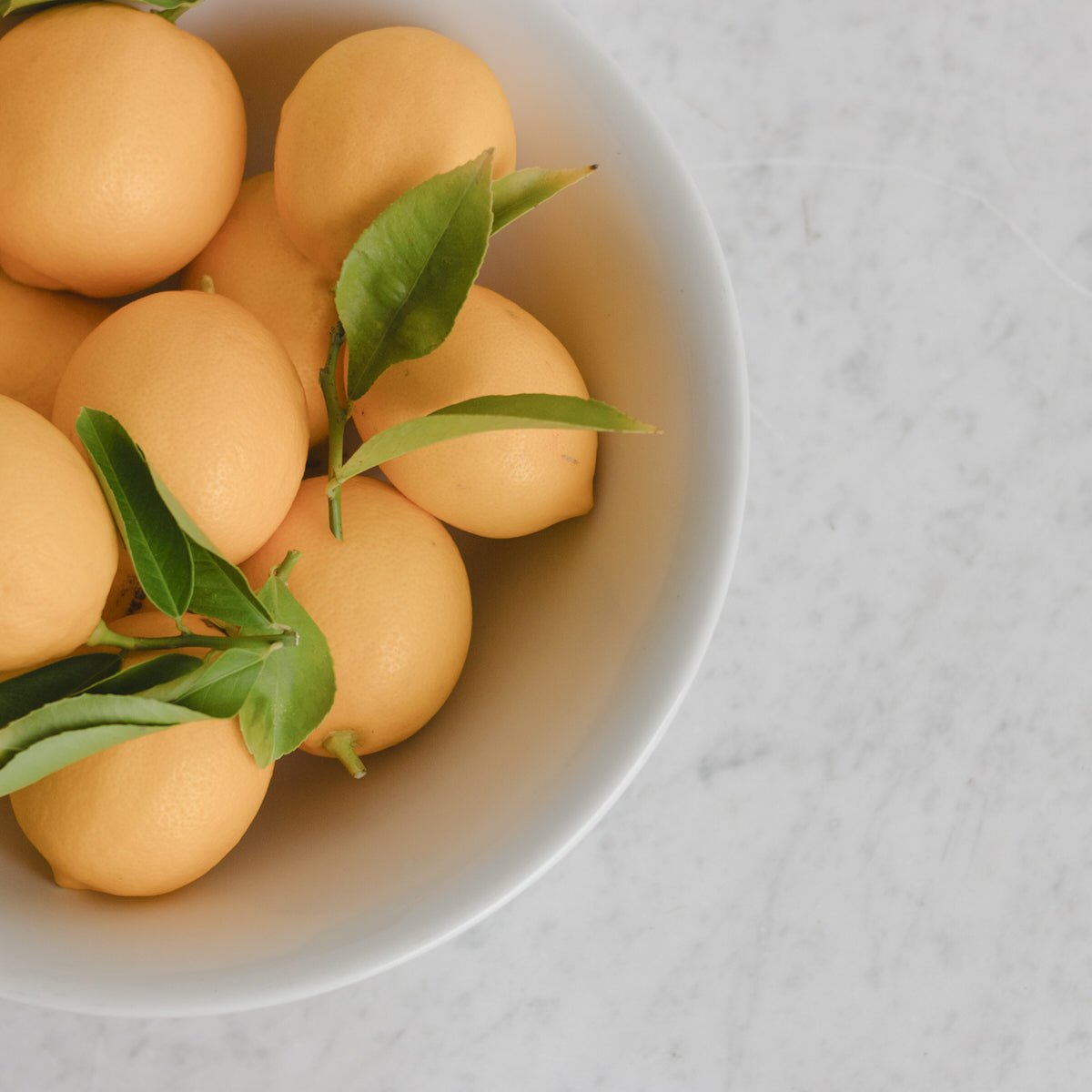 Pillyvuyt Porcelain Serving Bowl - elsie green - The French Kitchen