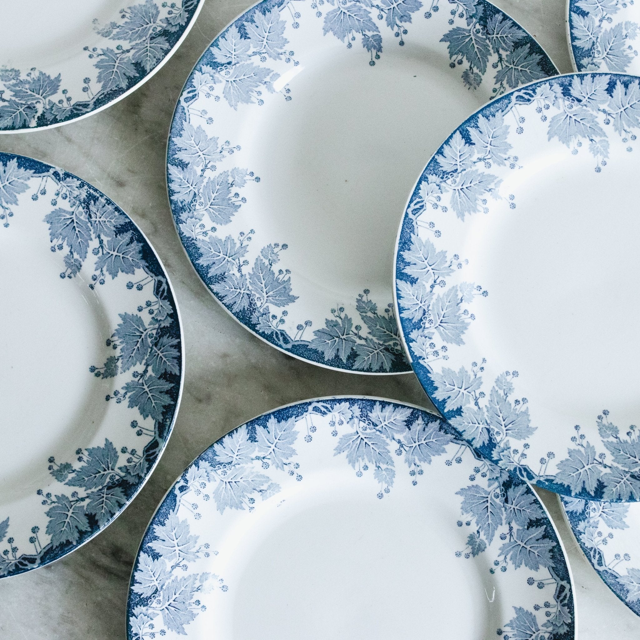 Platane Transfeware Plate Set Of 4 - elsie green - The French Kitchen