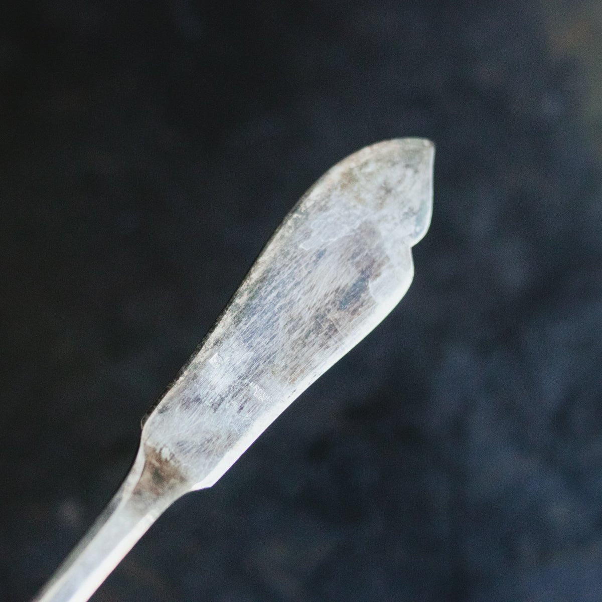 Porcelain Butter Keeper With Ercuis Butter Knife - elsie green - The French Kitchen