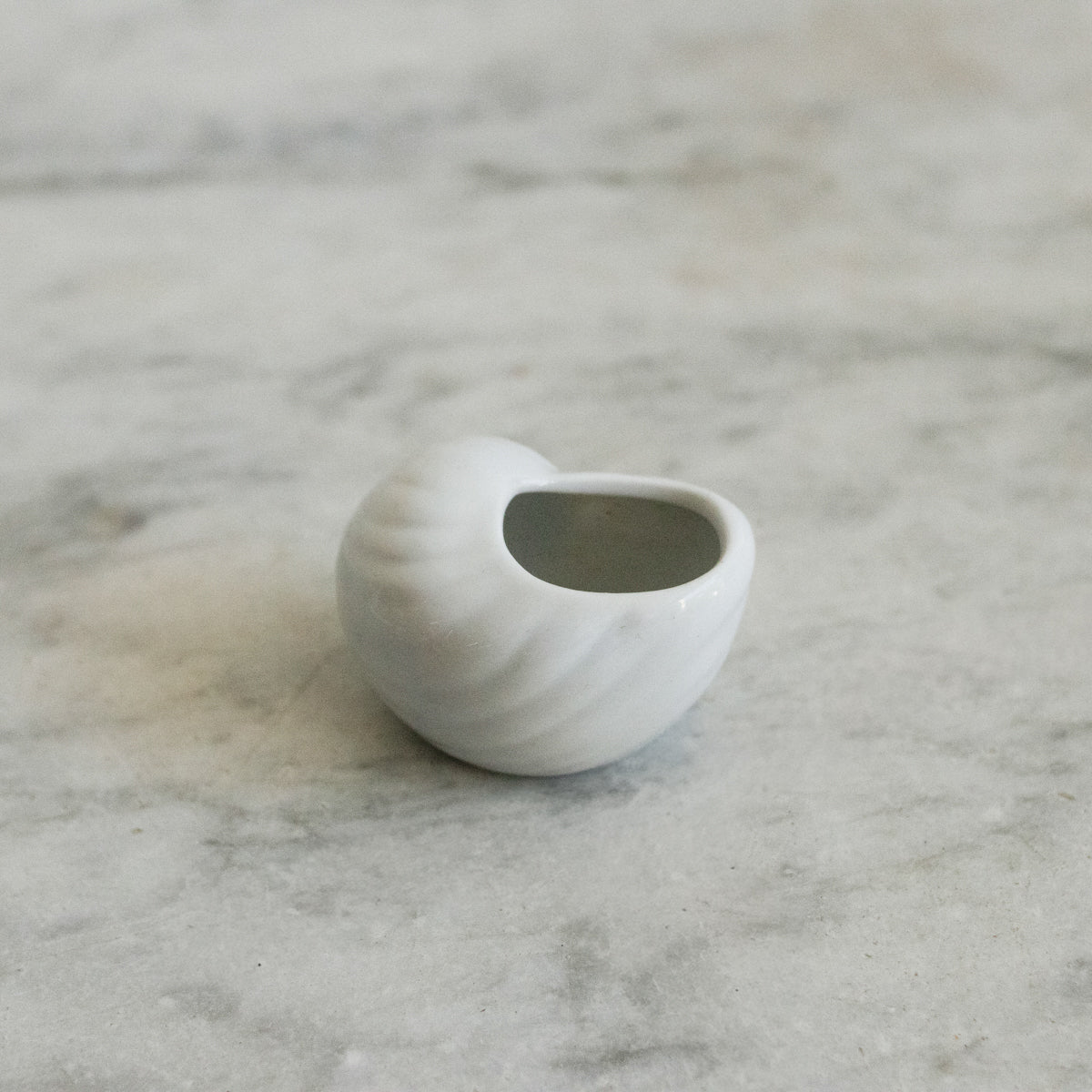 Porcelain Escargot Pot Set of 8 - elsie green - the french kitchen