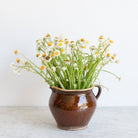 Provencal Cream Pitcher - elsie green - The French Kitchen