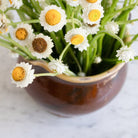 Provencal Cream Pitcher - elsie green - The French Kitchen