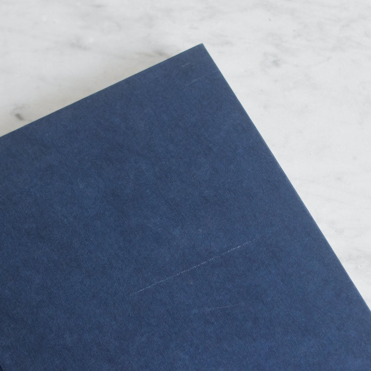 Renoir Vintage Book - elsie green - decor