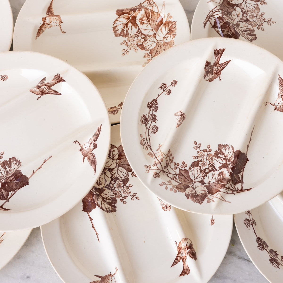 Ronce Transferware Asparagus Plate Set of 10 - elsie green -