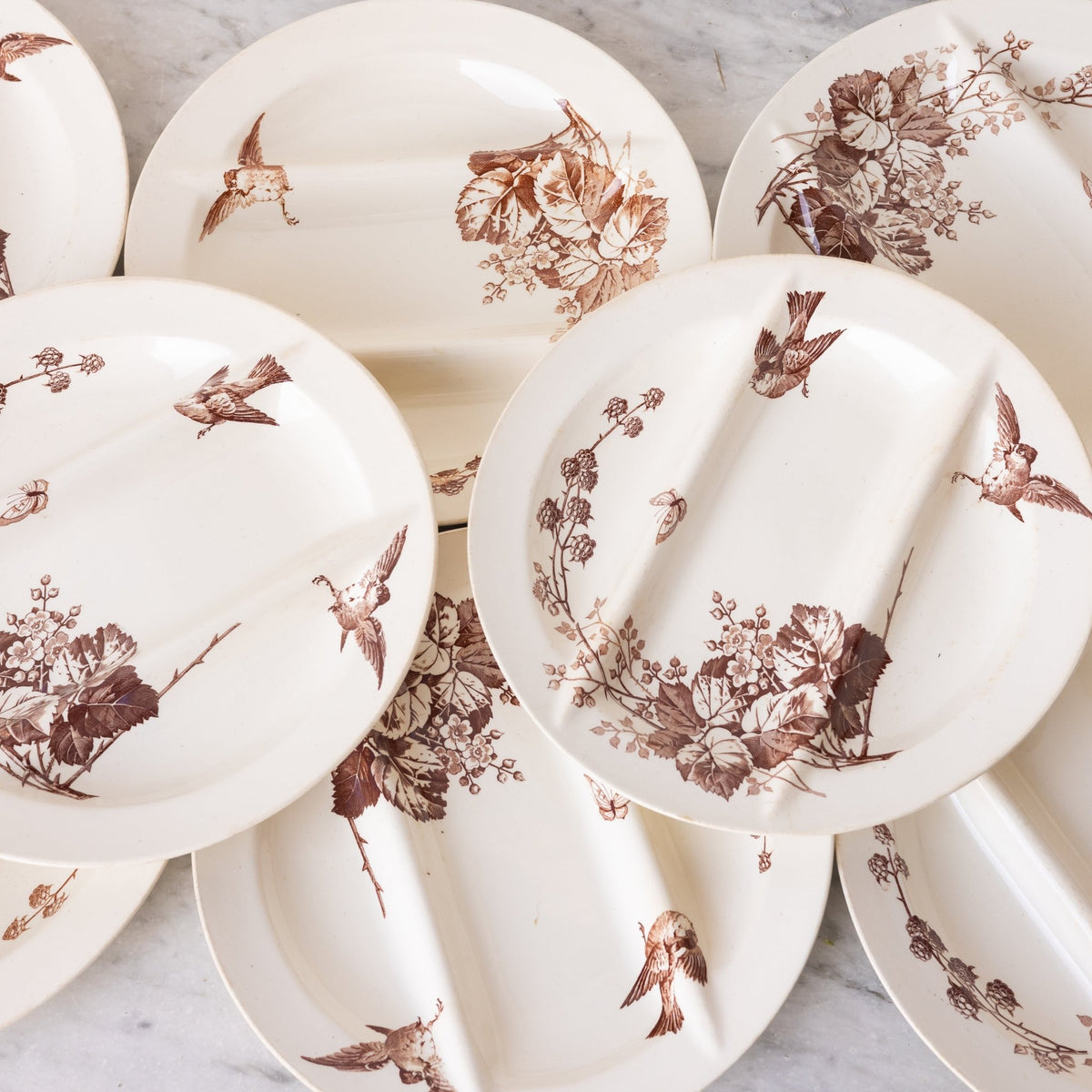 Ronce Transferware Asparagus Plate Set of 10 - elsie green -
