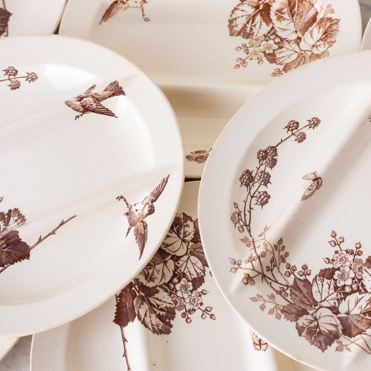 Ronce Transferware Asparagus Plate Set of 10 - elsie green -