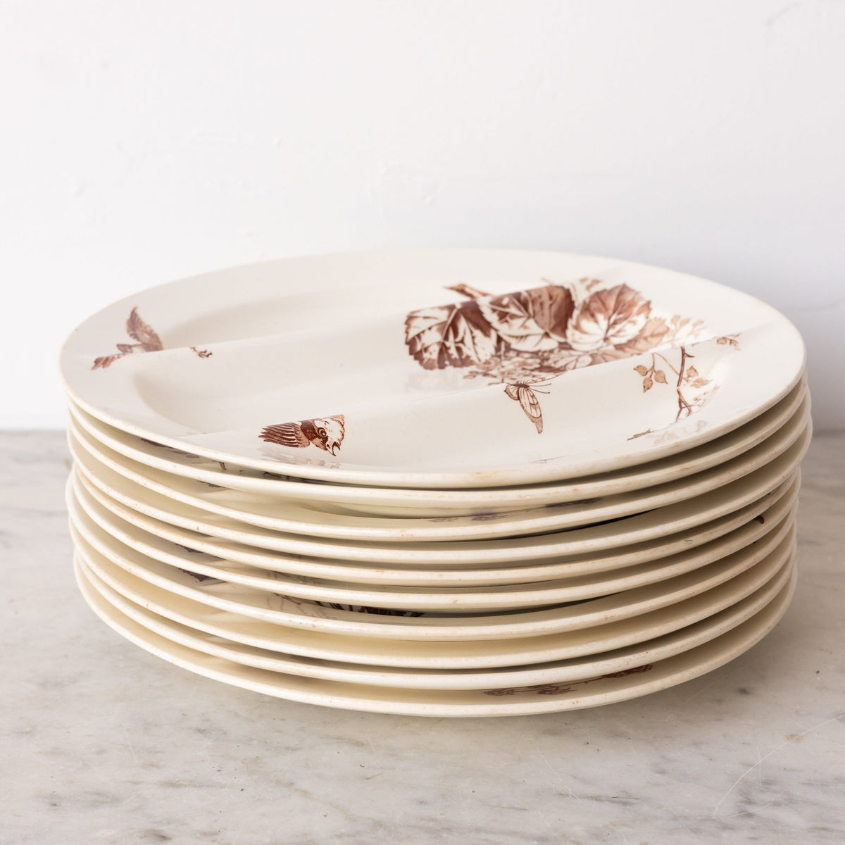 Ronce Transferware Asparagus Plate Set of 10 - elsie green -