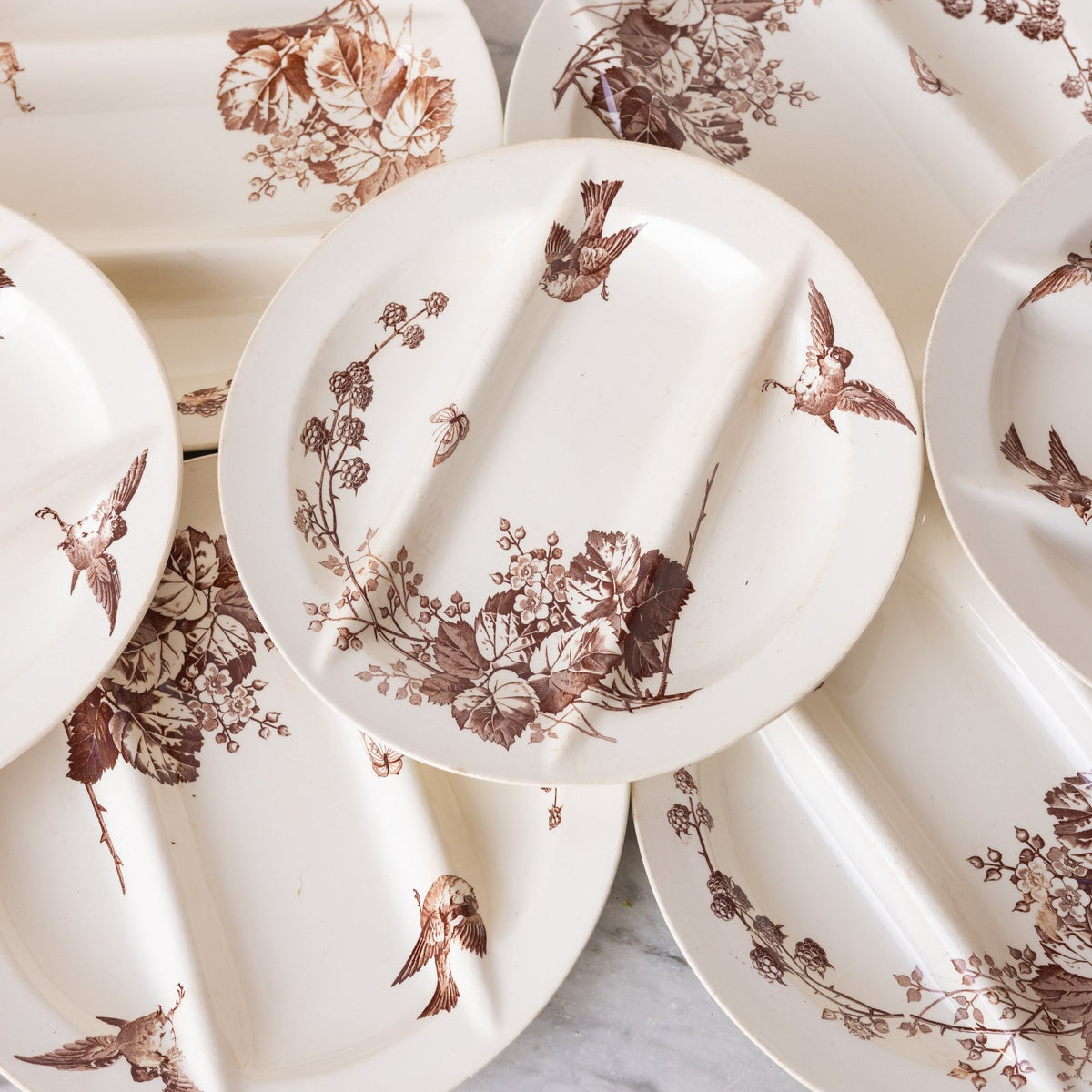 Ronce Transferware Asparagus Plate Set of 10 - elsie green -