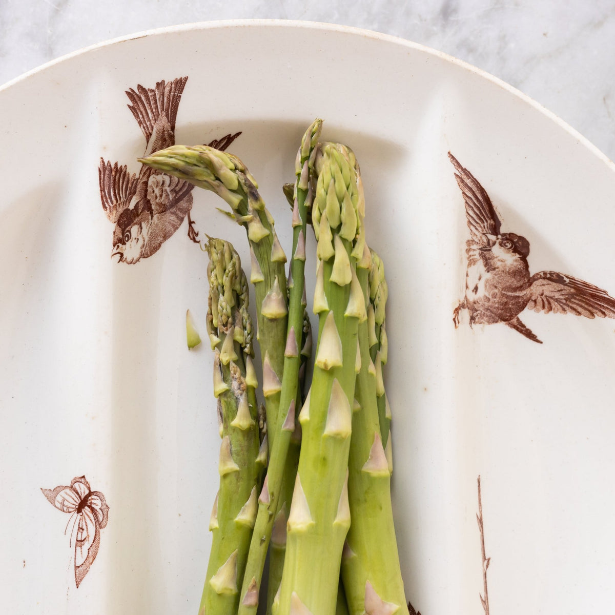 Ronce Transferware Asparagus Plate Set of 10 - elsie green -