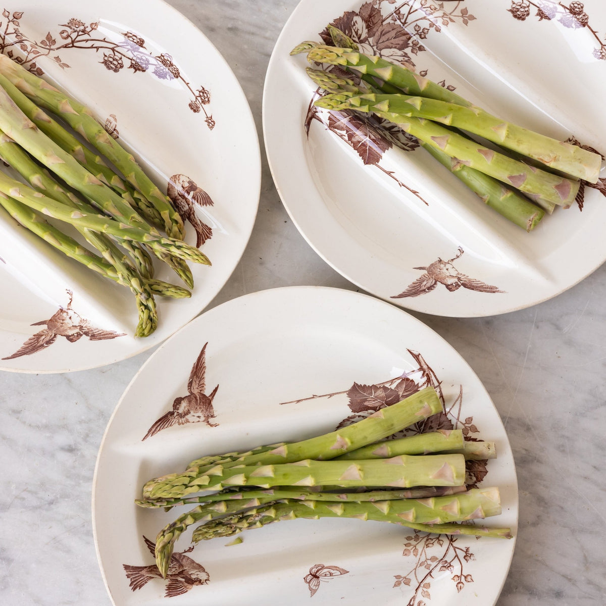 Ronce Transferware Asparagus Plate Set of 10 - elsie green -