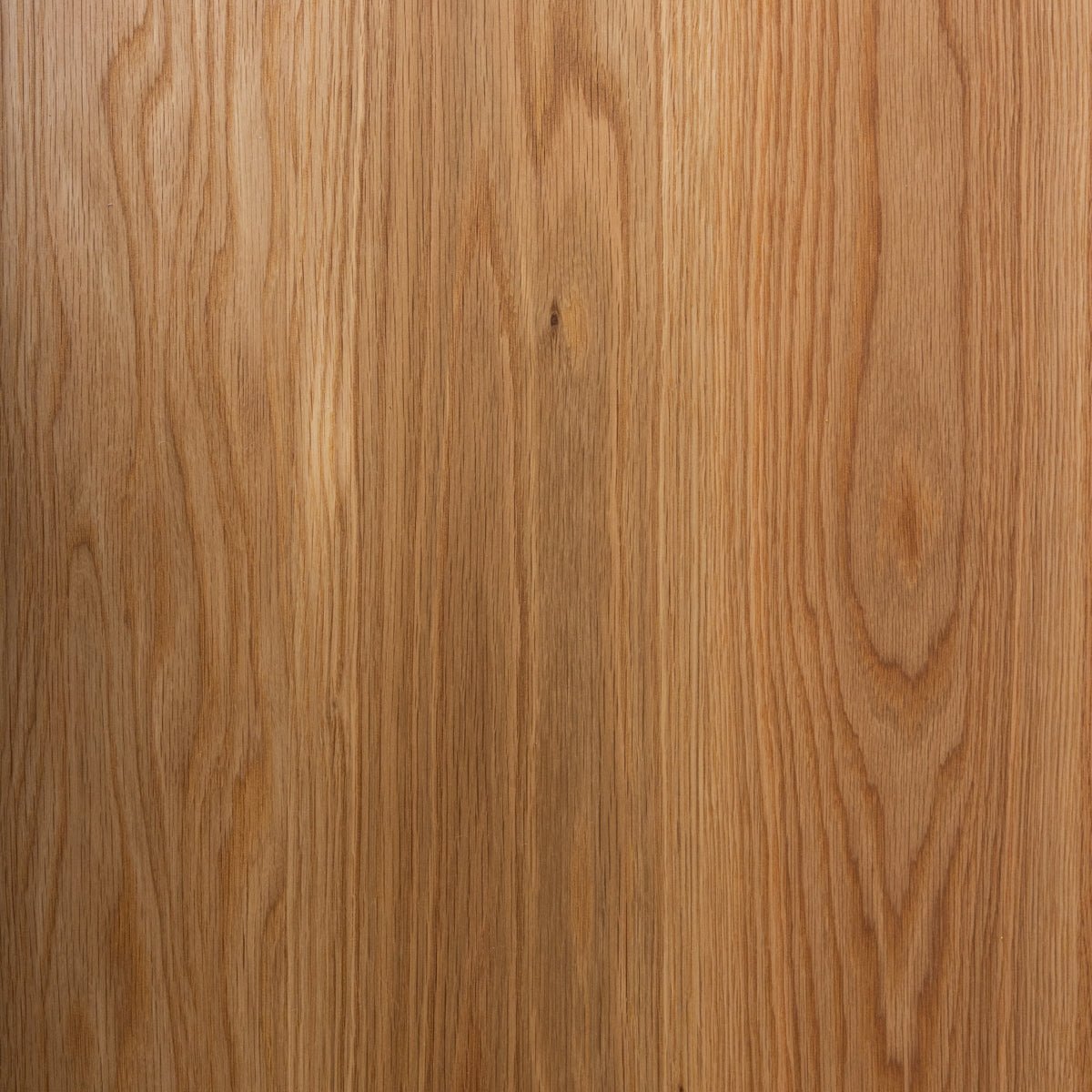 Rooted Oak Coffee Table - elsie green - furniture