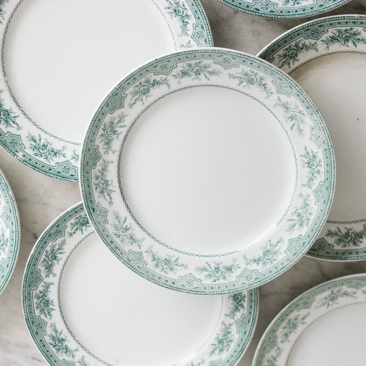 Roses Mousses Dinner Plate Set of 14 - elsie green - The French Kitchen