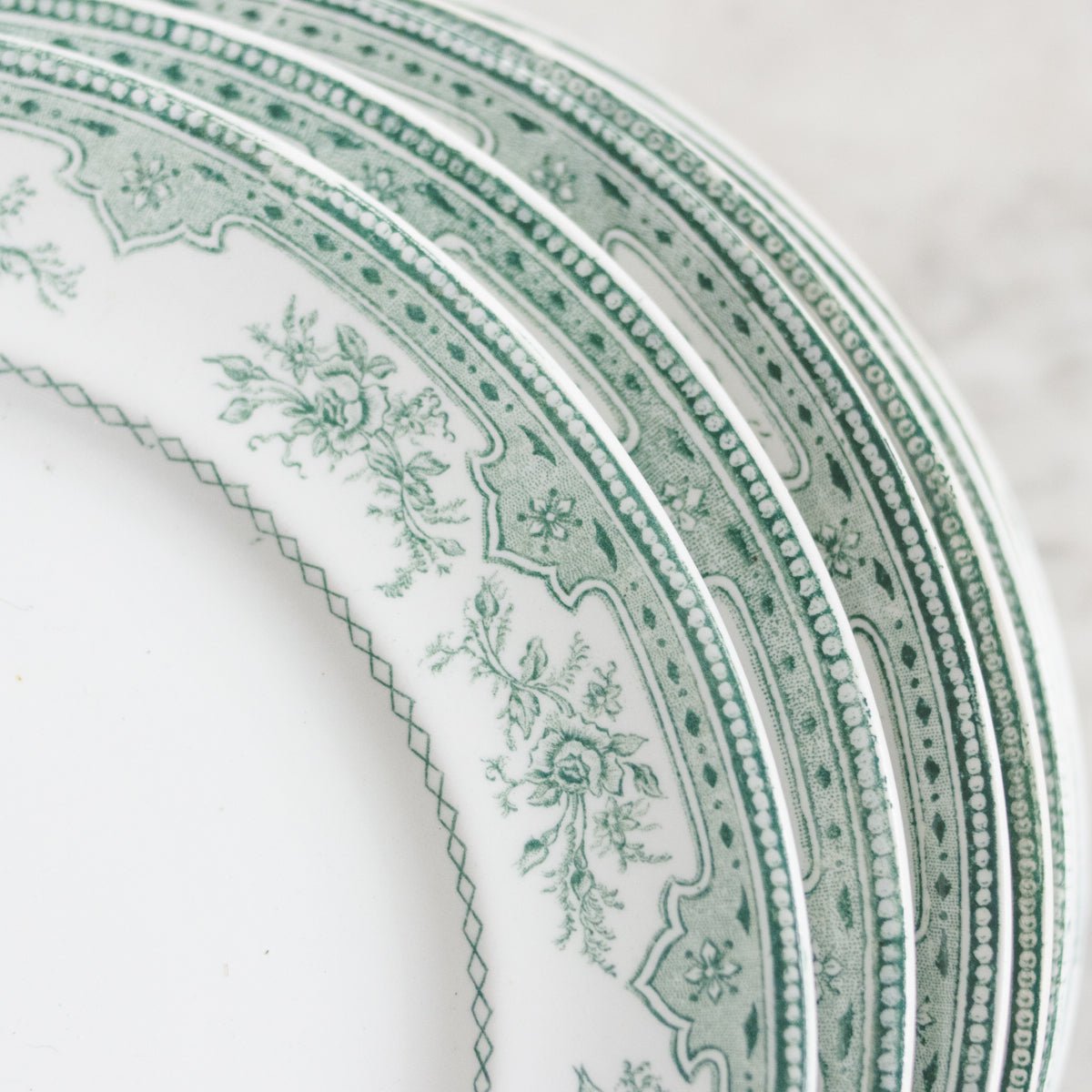 Roses Mousses Dinner Plate Set of 14 - elsie green - The French Kitchen
