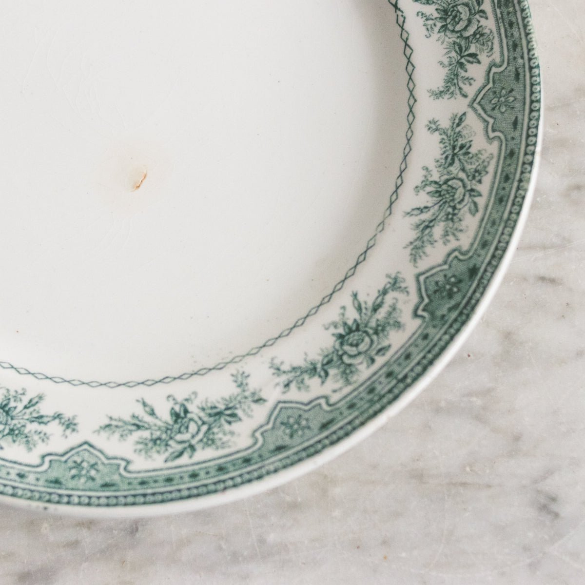 Roses Mousses Dinner Plate Set of 14 - elsie green - The French Kitchen