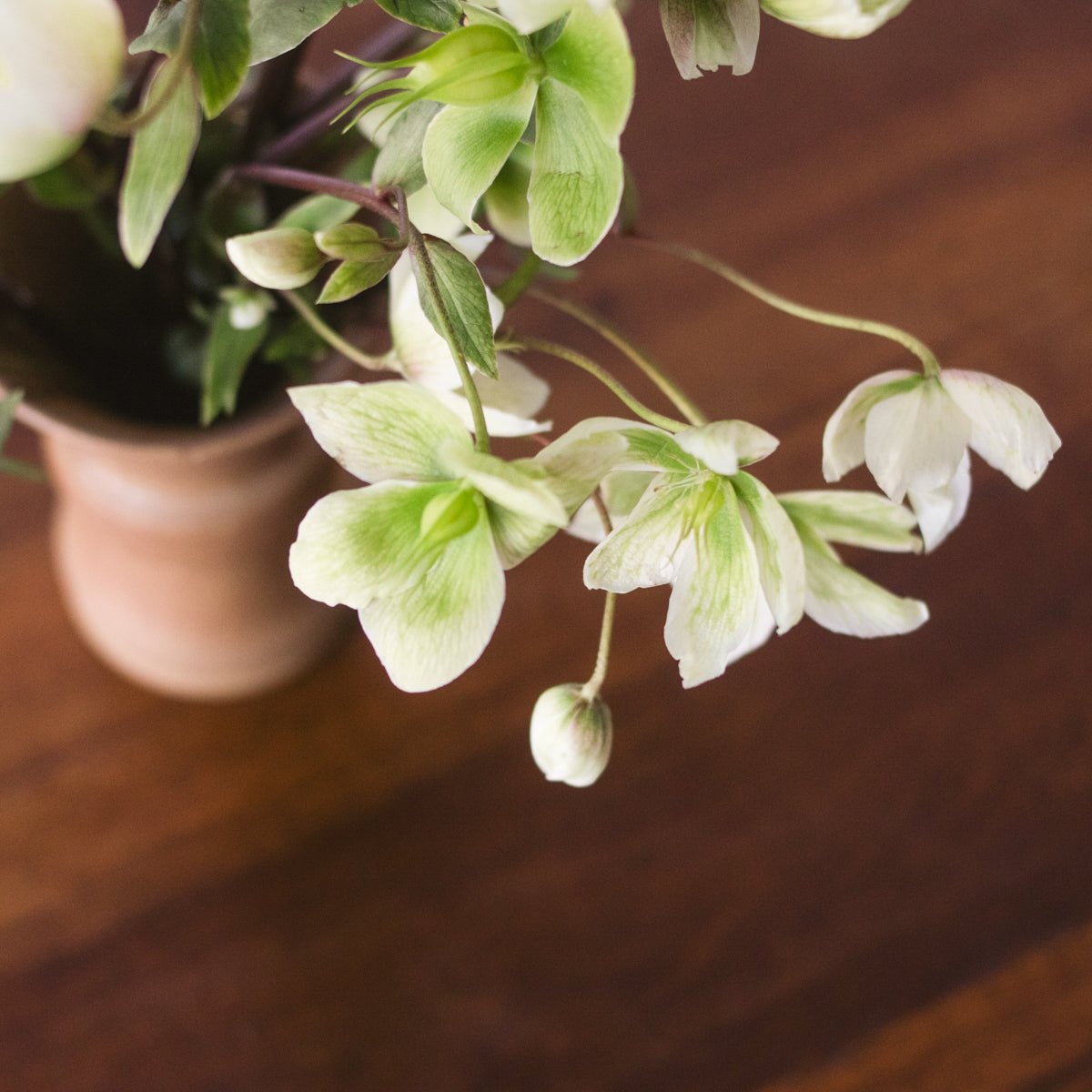 Round Walnut Pedestal Table - elsie green - Furniture