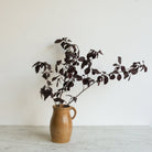 Rustic Stamped Stoneware Pitcher - elsie green - The French Kitchen