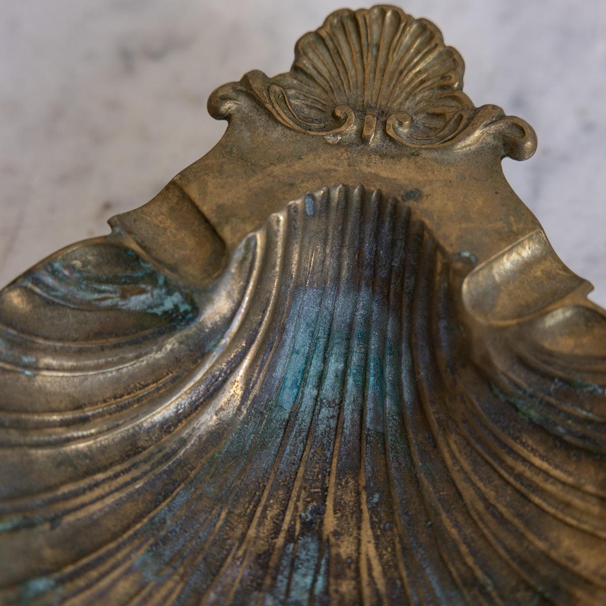 Shell Vide Poche - elsie green - decor