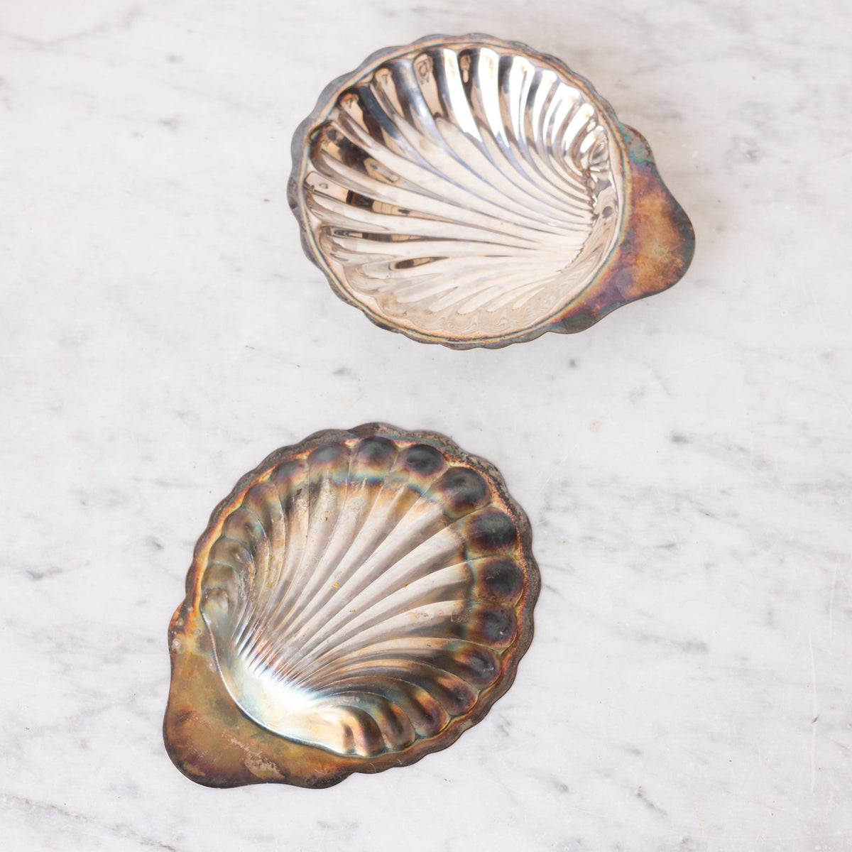 Silver Shell Tray - elsie green - the french kitchen