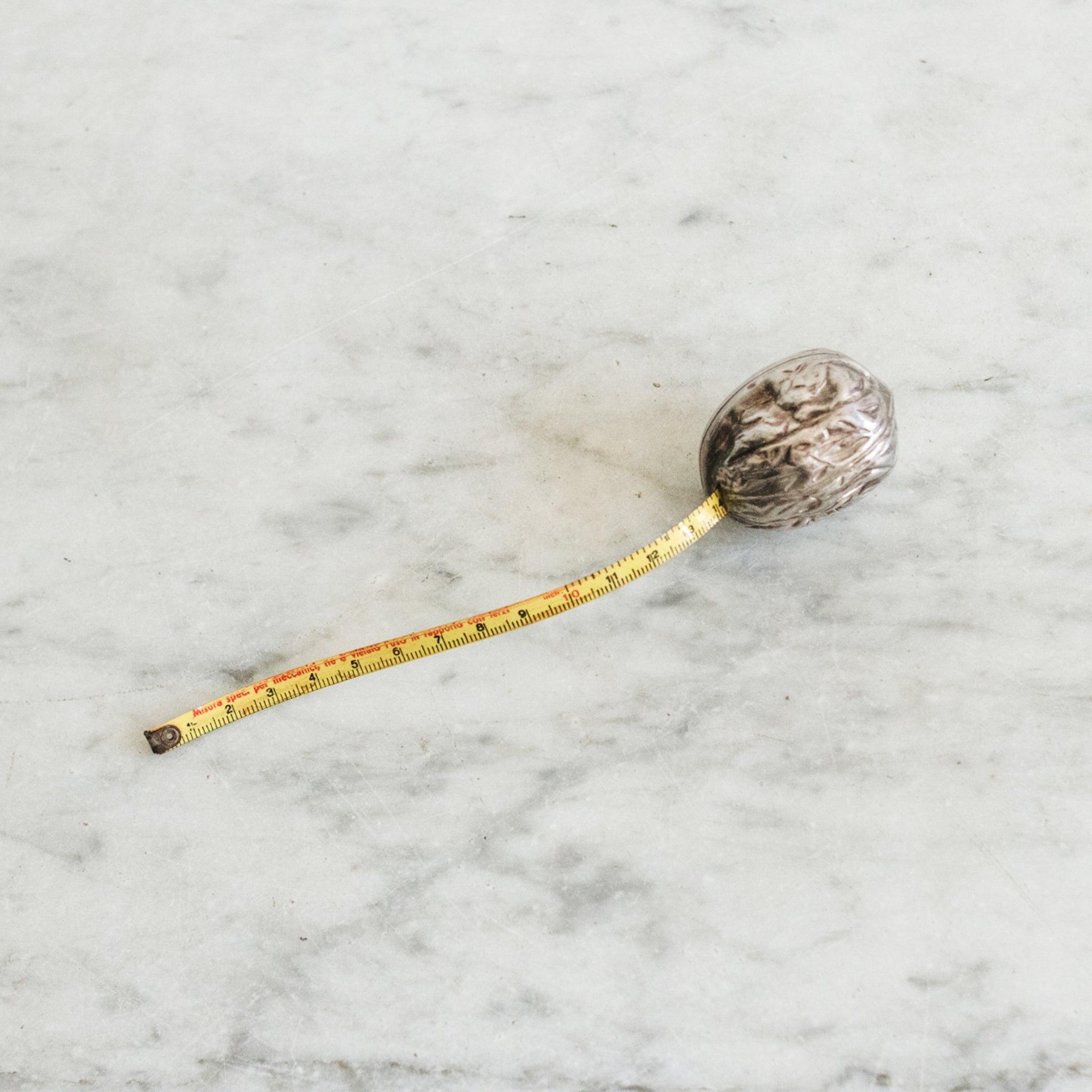 Silver Walnut Measuring Tape - elsie green - decor