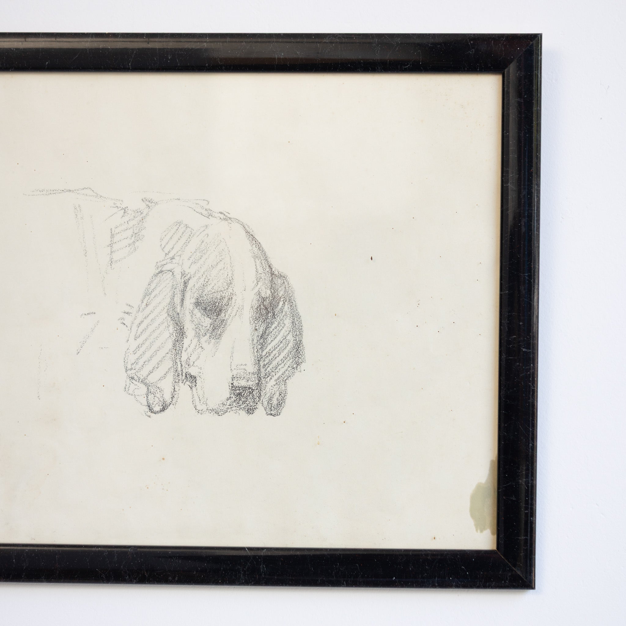 Simple Dog in Pencil Drawing - elsie green - art