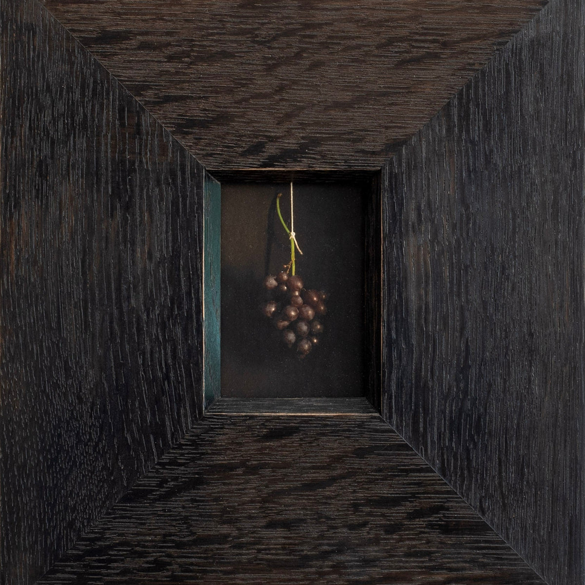 Soil to Song | Jefferson Hayman - elsie green - art