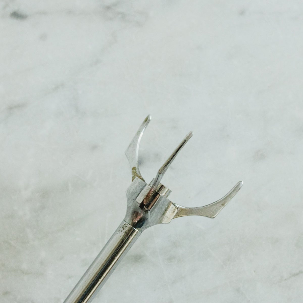 Stainless Steel Ice Grabber - elsie green - The French Kitchen