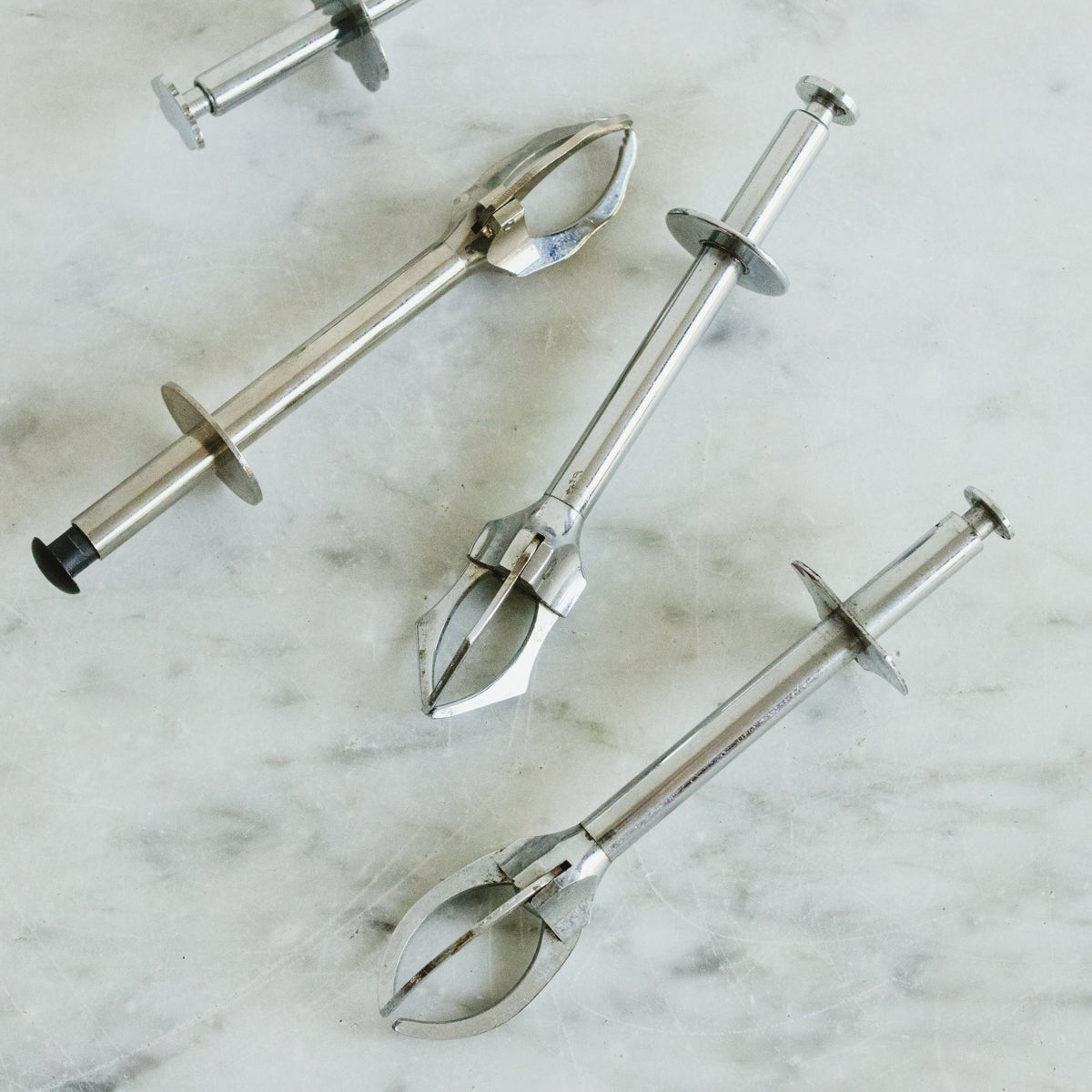 Stainless Steel Ice Grabber - elsie green - The French Kitchen