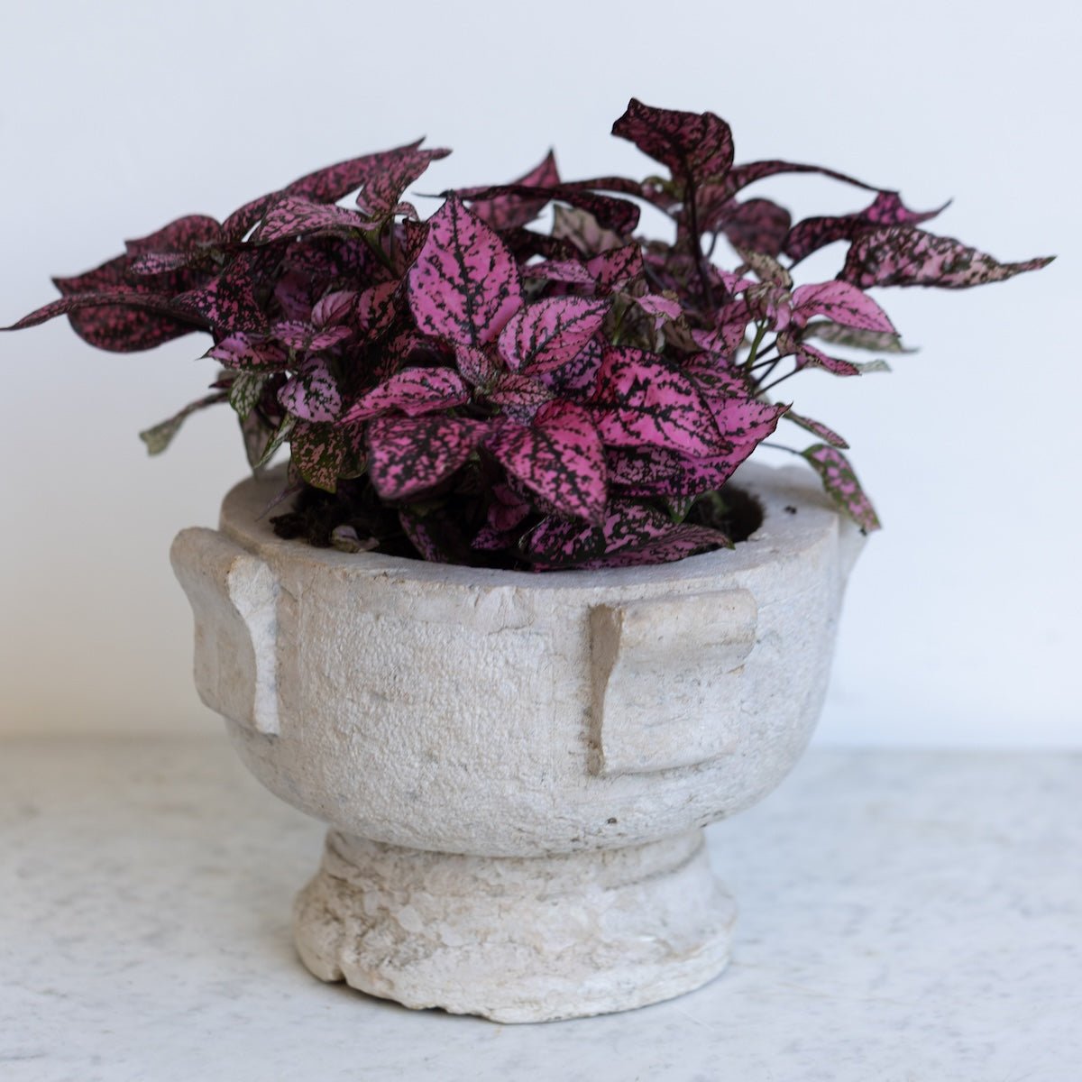 Stone Mortar - elsie green - The French Kitchen