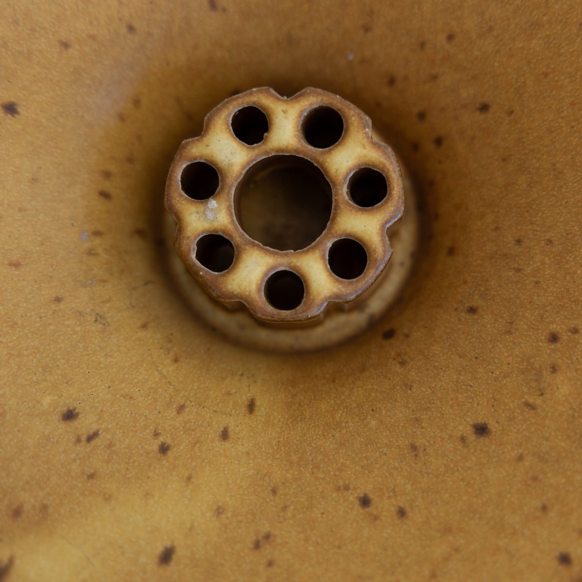 Stoneware Flower Frog | Daniel De Montmollin - elsie green - decor