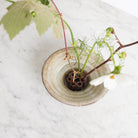 Stoneware Flower Frog | Daniel De Montmollin - elsie green - decor