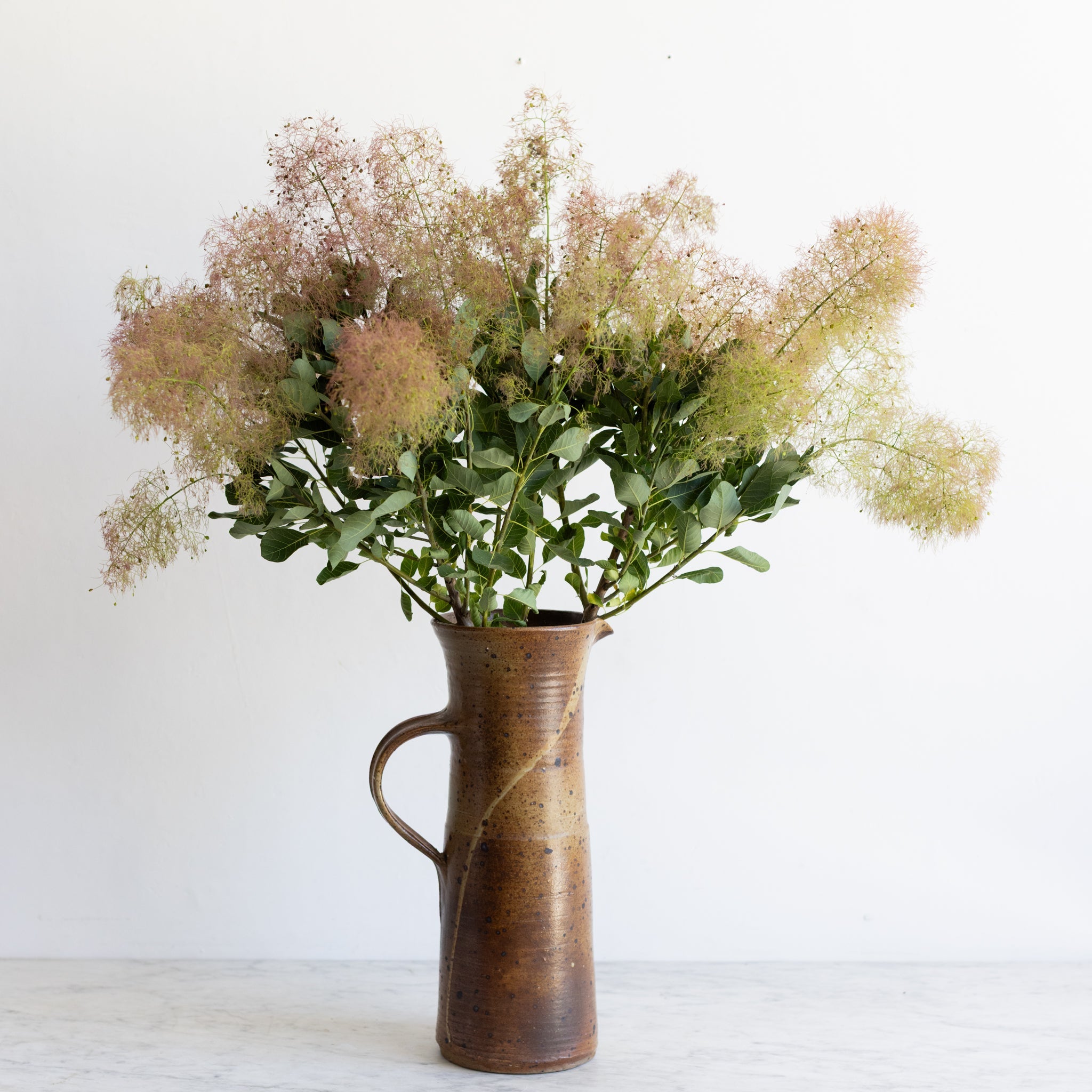Stoneware Pitcher | Signed by Artist - elsie green - the french kitchen