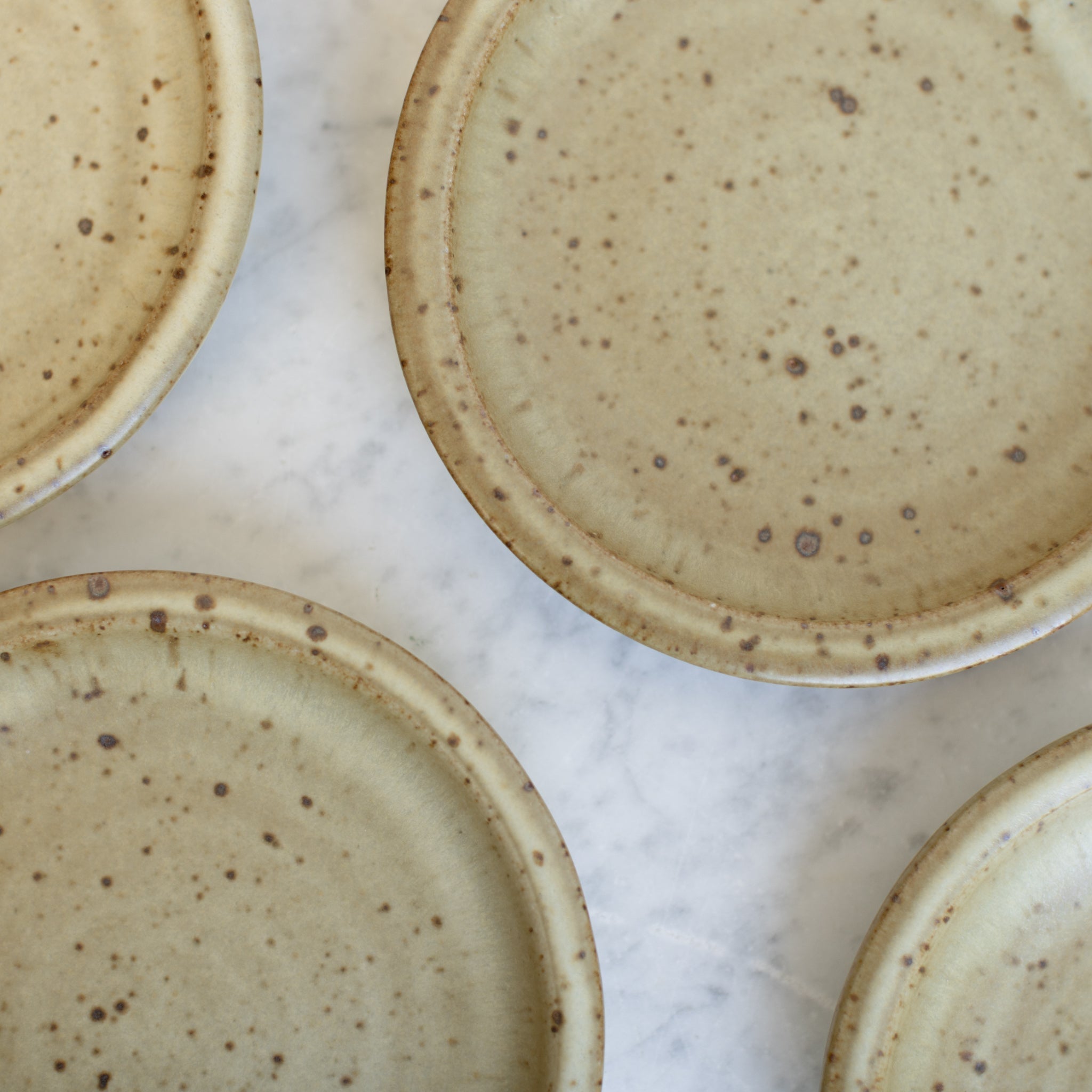Stoneware Plate Set of 5 - elsie green - the french kitchen